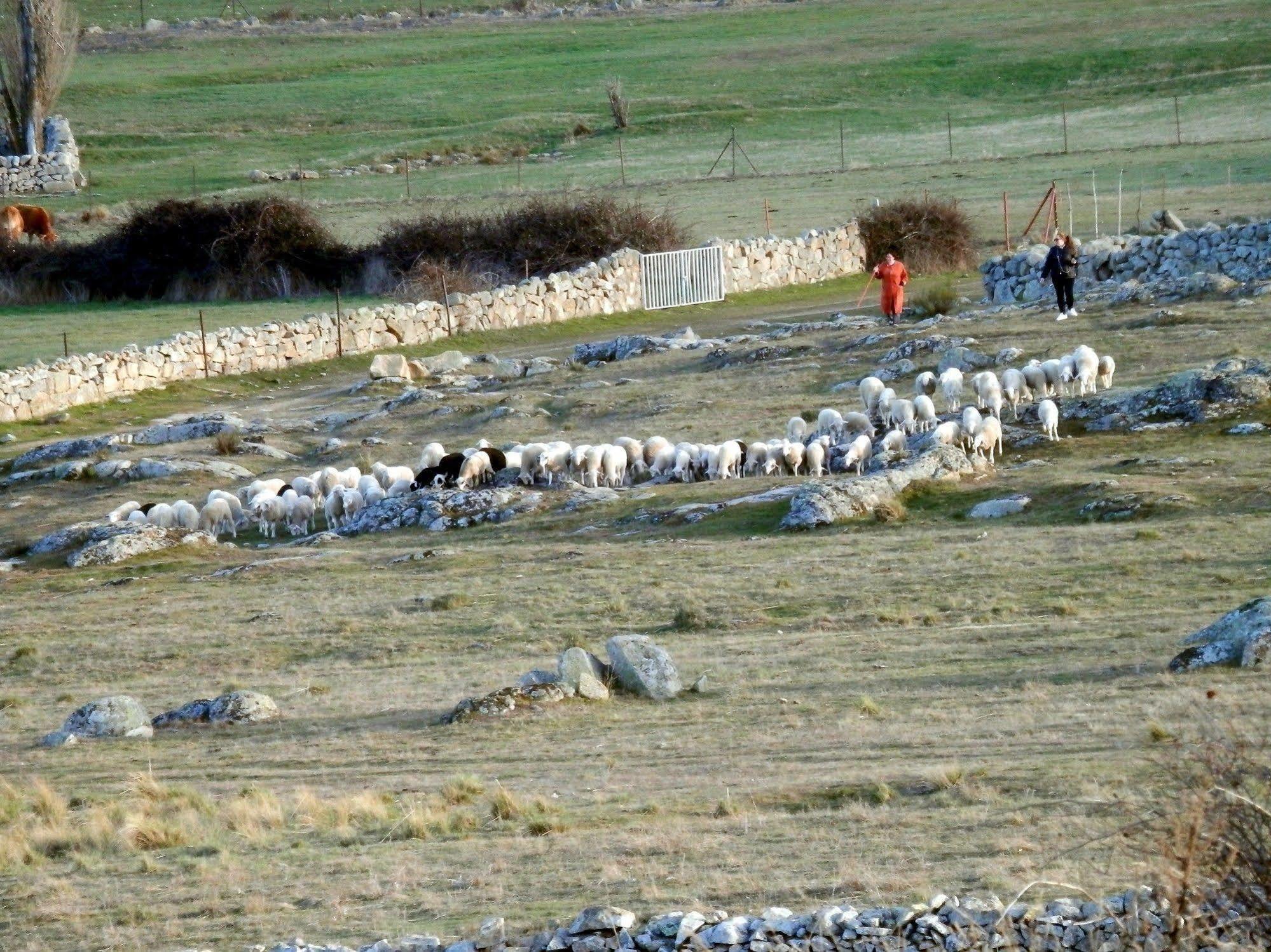 Casa Rural El Dolmen Pensionat Bernuy-Salinero Exteriör bild